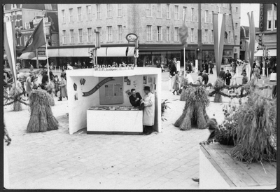 605620 Afbeelding van de stand van het Nederlandsch Agrarisch Front (N.A.F.) op het Vredenburg (op de hoek met de Lange ...